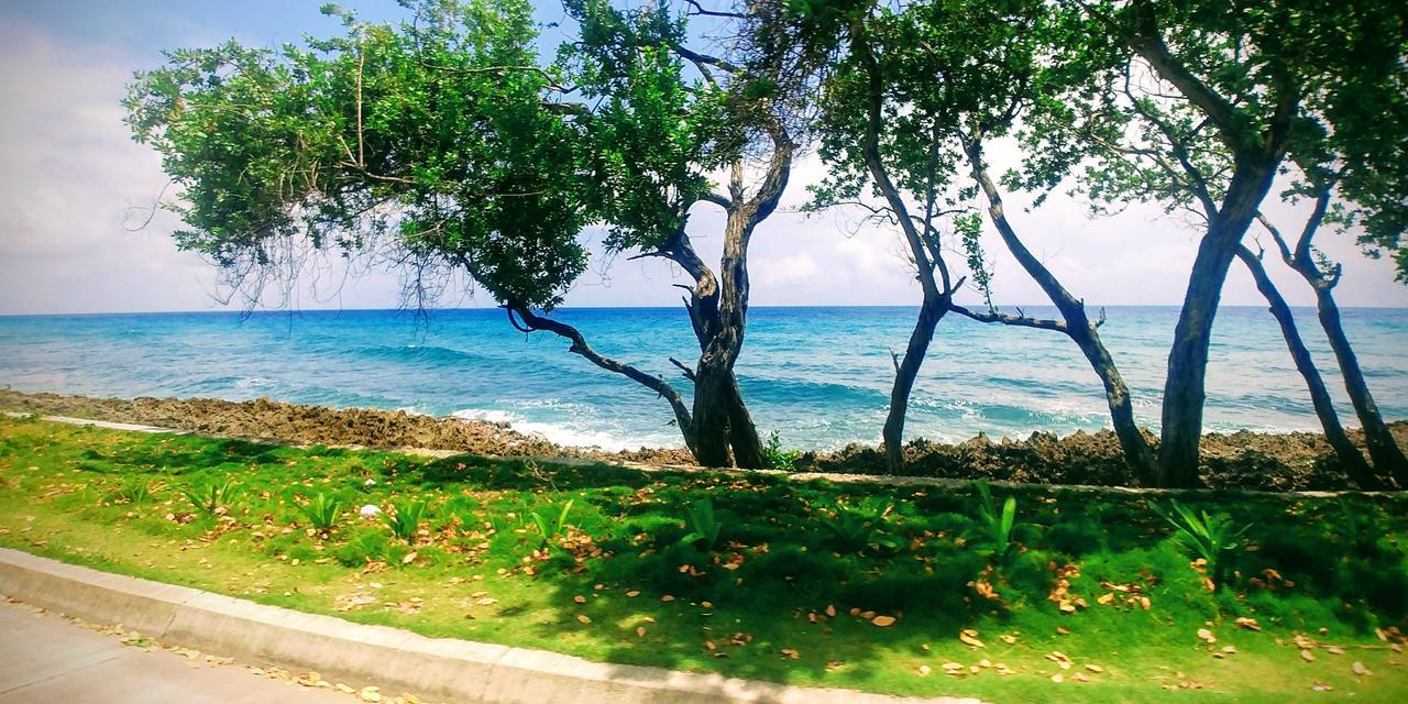 Harold's Place Apartamento San Andrés