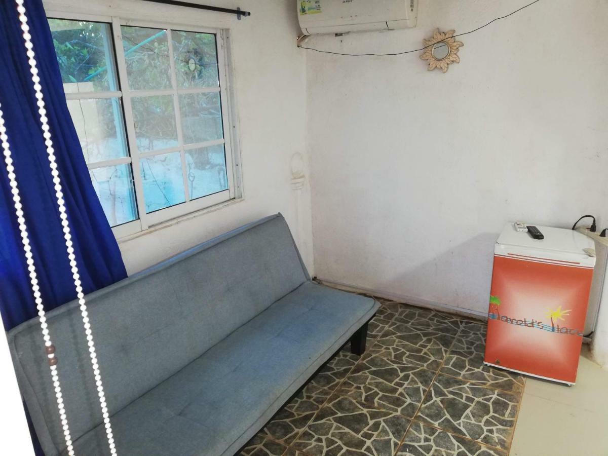 Harold's Place Apartamento